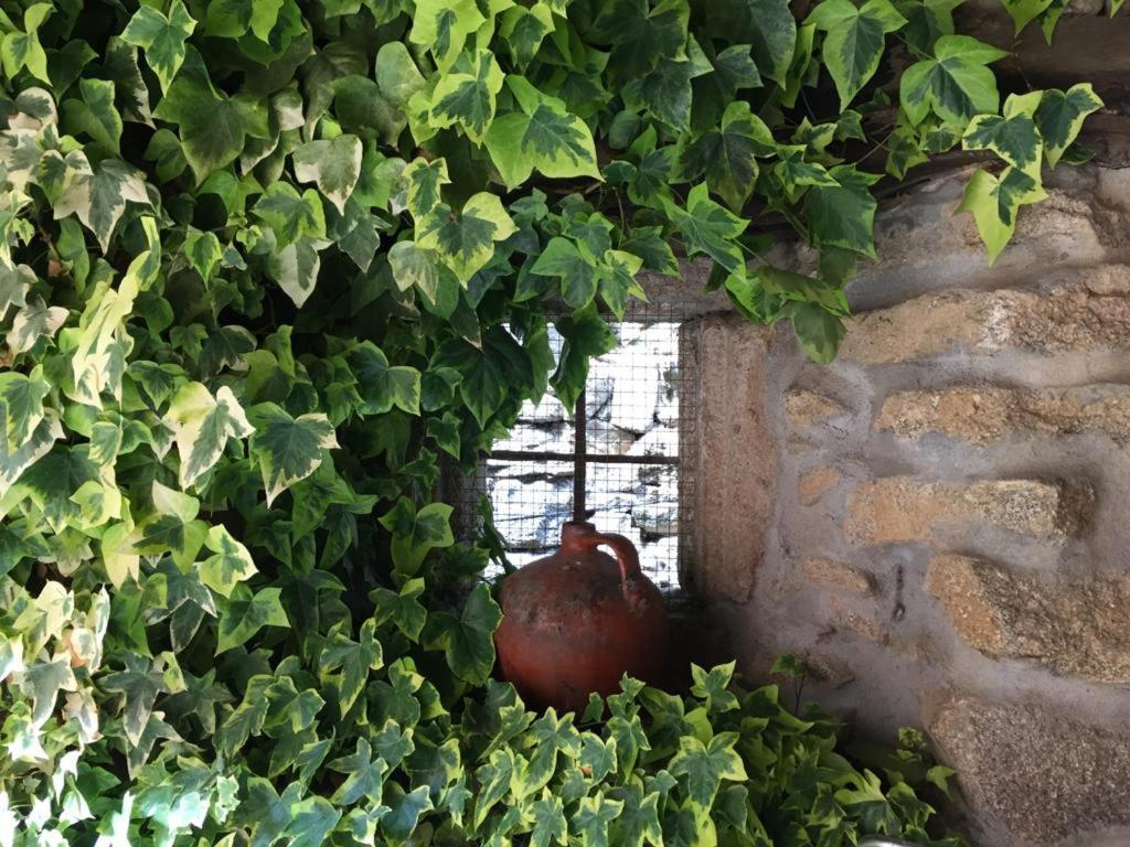 El Capricho De Ana Vila Neila de San Miguel Exterior foto